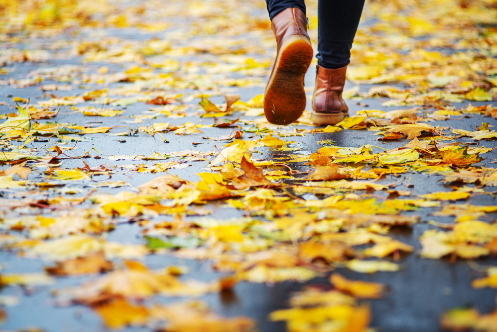 New Jersey's Hidden Autumn Dangers: Common Fall Injuries and How to Protect Your Rights